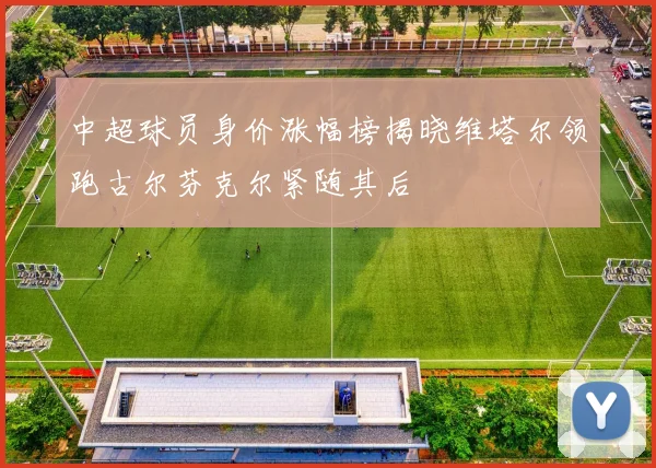 中超球员身价涨幅榜揭晓维塔尔领跑古尔芬克尔紧随其后