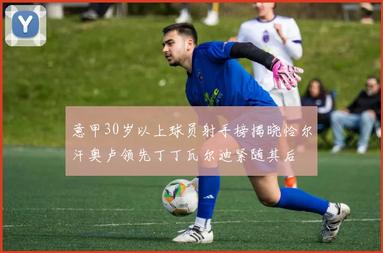 意甲30岁以上球员射手榜揭晓恰尔汗奥卢领先丁丁瓦尔迪紧随其后