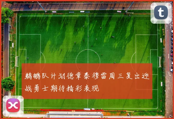 鹈鹕队计划德章泰穆雷周三复出迎战勇士期待精彩表现